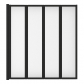  Ceruttispa BOUNA-B    (130140)