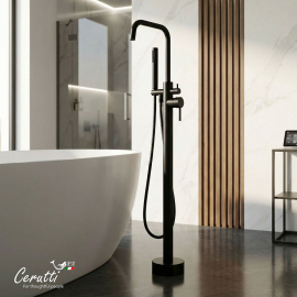 ��������� ��������� Ceruttispa ���� (AFRA) B �� ����������� �����, ���� ������ �������