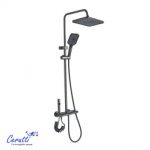 ������� ������ Ceruttispa ������ (SALVI) ���� ������ �����