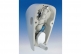  Jika Golem Antivandal 4307.0  3