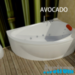  AVOCADO AVSTROM R/L 170