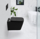    BELBAGNO ARDENTE-C  2