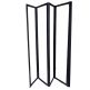  Ceruttispa BOUNA-B    (130140)  1