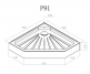  P91 Ceruttispa  (909012)  1