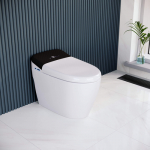 ������ ����� ��������� RGW SW-30