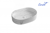 ��������  C��������� Ceruttispa  , R0055B MMW2 ,������ ������� �����, �������� 500�350�120