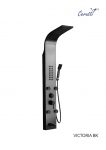   Ceruttispa  VICTORIA BK       CT9981,  