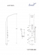   Ceruttispa  VICTORIA BK       CT9981,    1