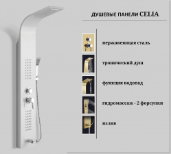  Ceruttispa CELIA W        CT10402,  