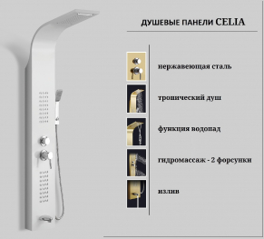  Ceruttispa CELIA W        CT10402,  