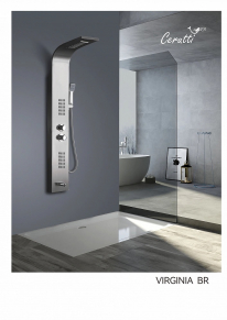   Ceruttispa VIRGINIA BR CT9983   ,    