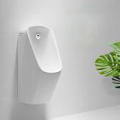 ������� ��������� RGW SW-91