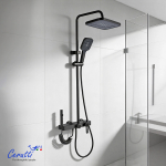 ������� ������ Ceruttispa ALFIO ���� ������