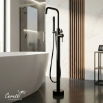 ��������� ��������� Ceruttispa ���� (AFRA) B �� ����������� �����, ���� ������ �������