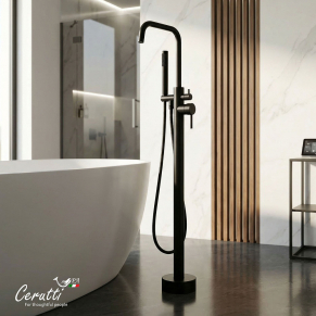 ��������� ��������� Ceruttispa ���� (AFRA) B �� ����������� �����, ���� ������ �������