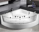 ��������� �������������� ����� Ceruttispa C-401� (1500x1500x580)