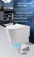 ������  Cerutti SPA CT7267 ARGENTERA  Pulse ���������� � �������� ����������� ����� ���� 1
