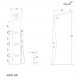  ARNO WB  Ceruttispa CT9655  2