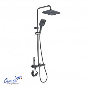 ������� ������ Ceruttispa ������ (SALVI) ���� ������ �����