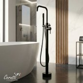 ��������� ��������� Ceruttispa ���� (AFRA) B �� ����������� �����, ���� ������ �������